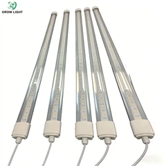 پلانٹ گرو لائٹس