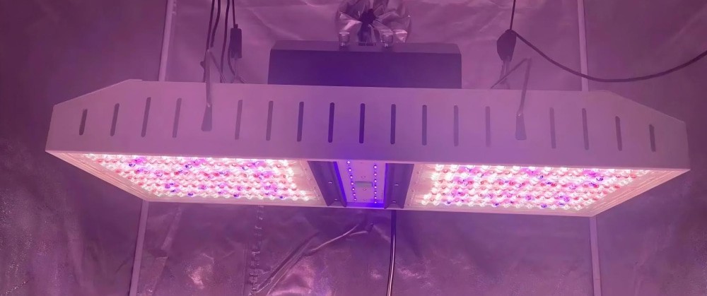 Commercial greenhouse lighting Commercial greenhouse lighting